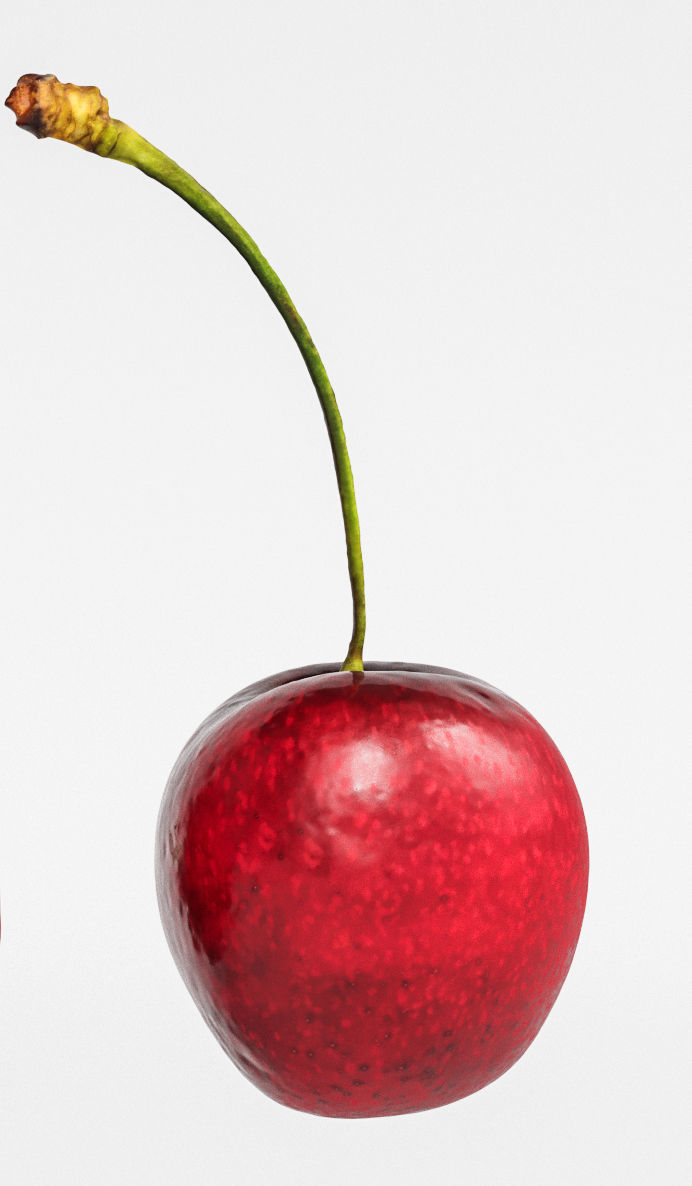 Cherry 3D model_8