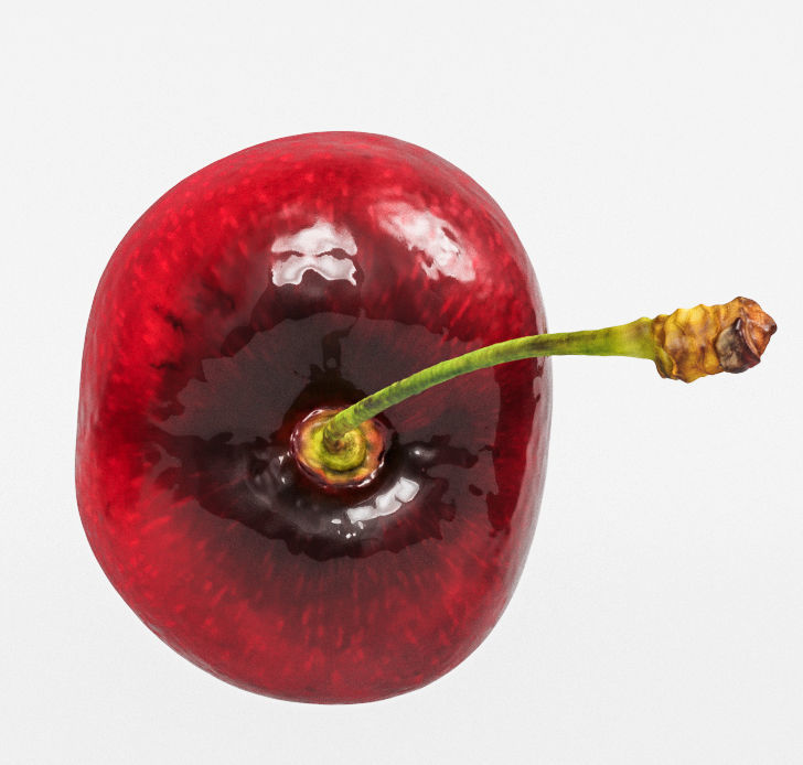 Cherry 3D model_6