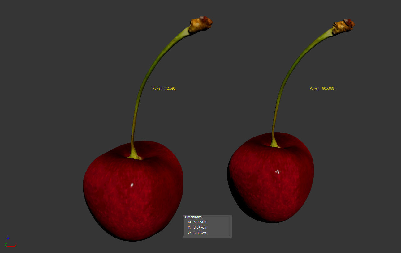 Cherry 3D model_10