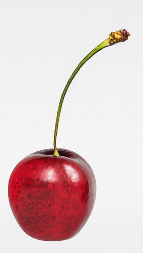 Cherry 3D model 7