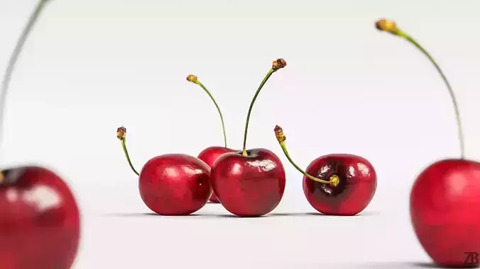 Cherry 3D model