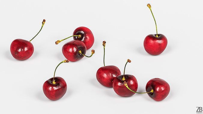 Cherry 3D model 3