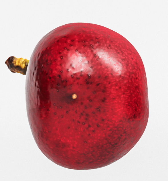Cherry 3D model_7
