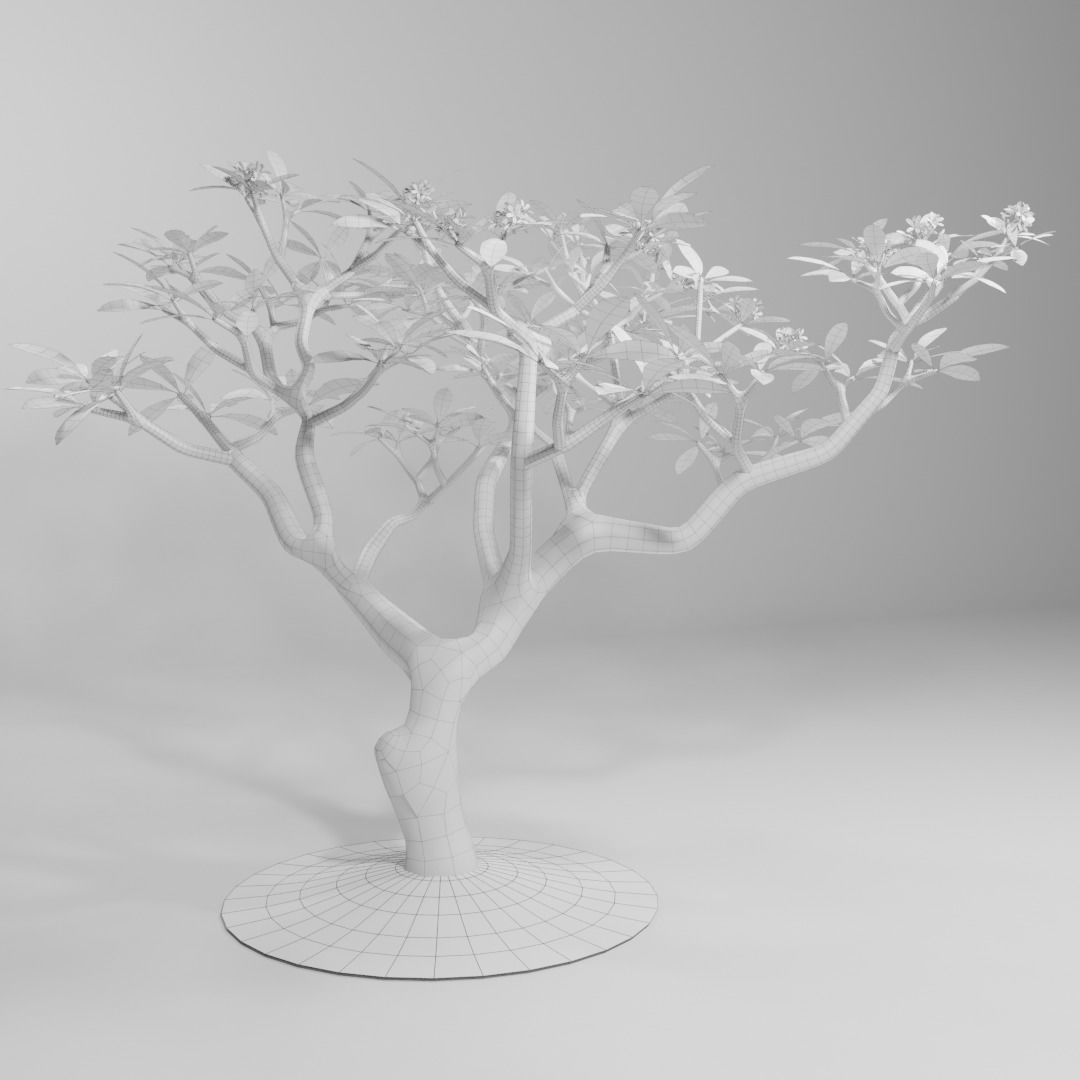 plumia building blocks 3d