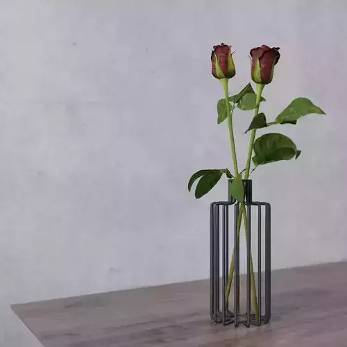 Iron Wire Vase