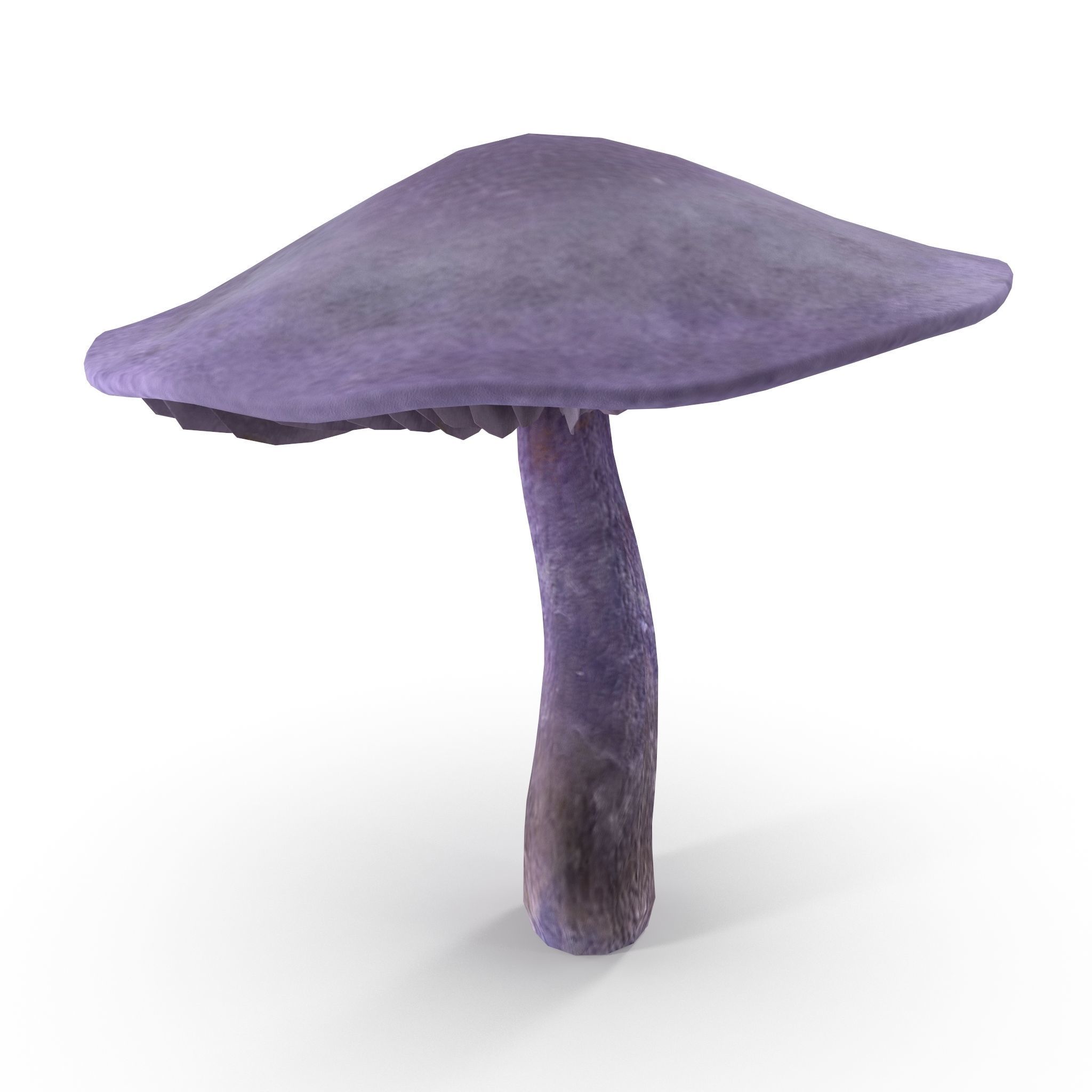 Cortinarius violaceus mid 3D model_6