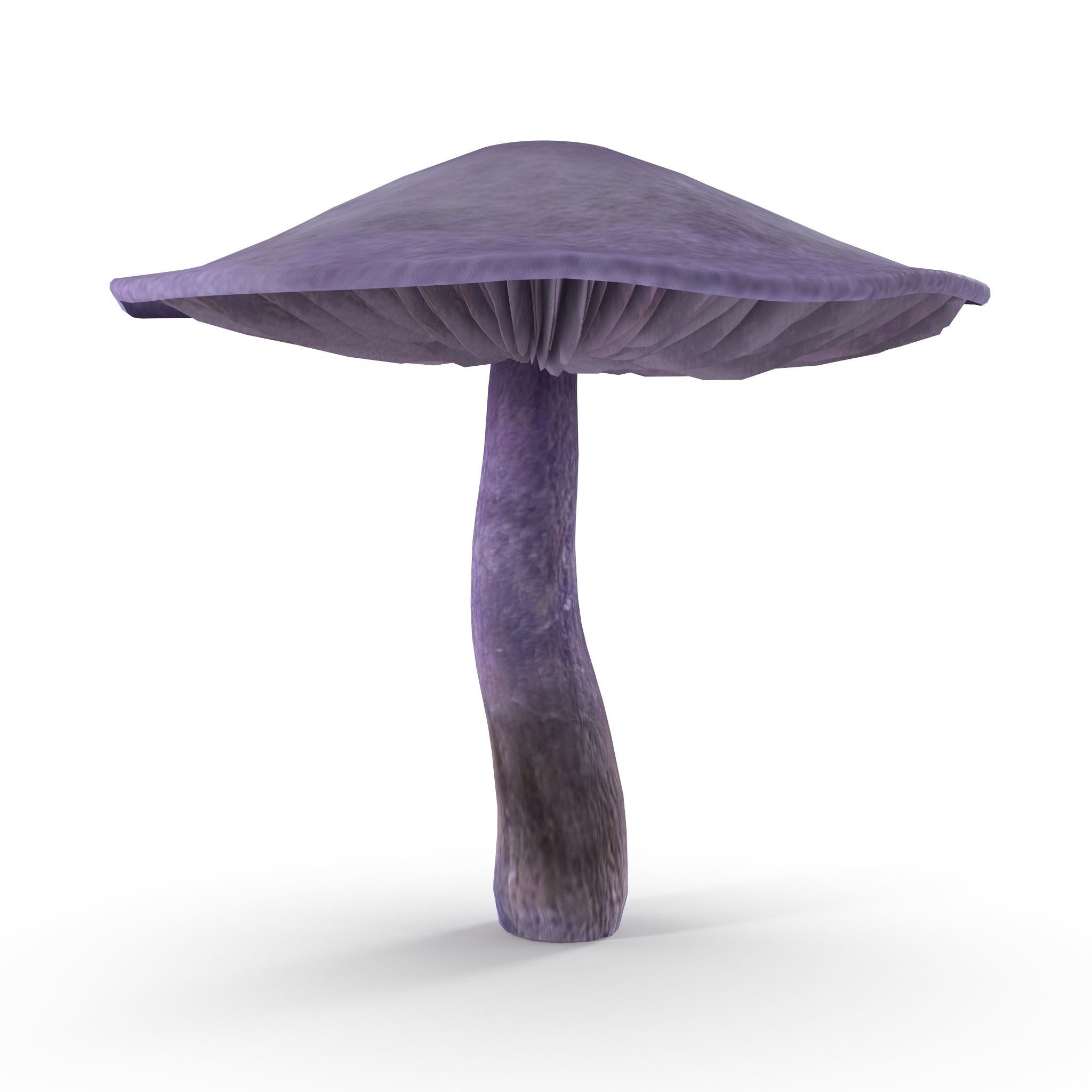 Cortinarius violaceus mid 3D model_7