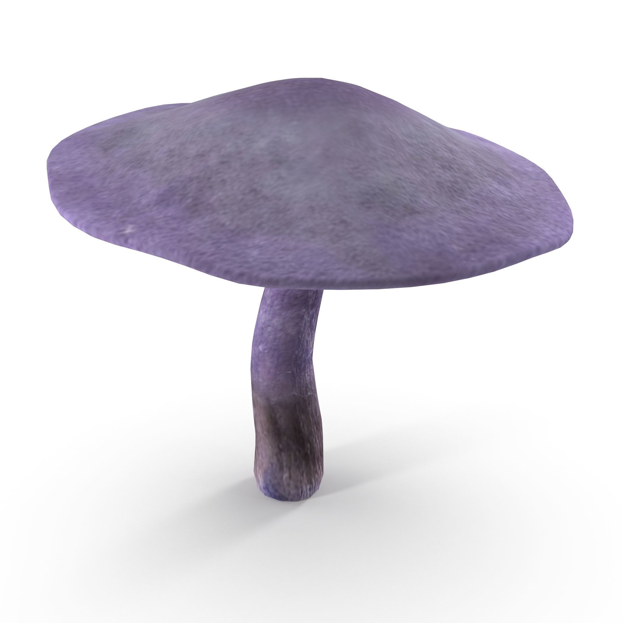 Cortinarius violaceus mid 3D model_5