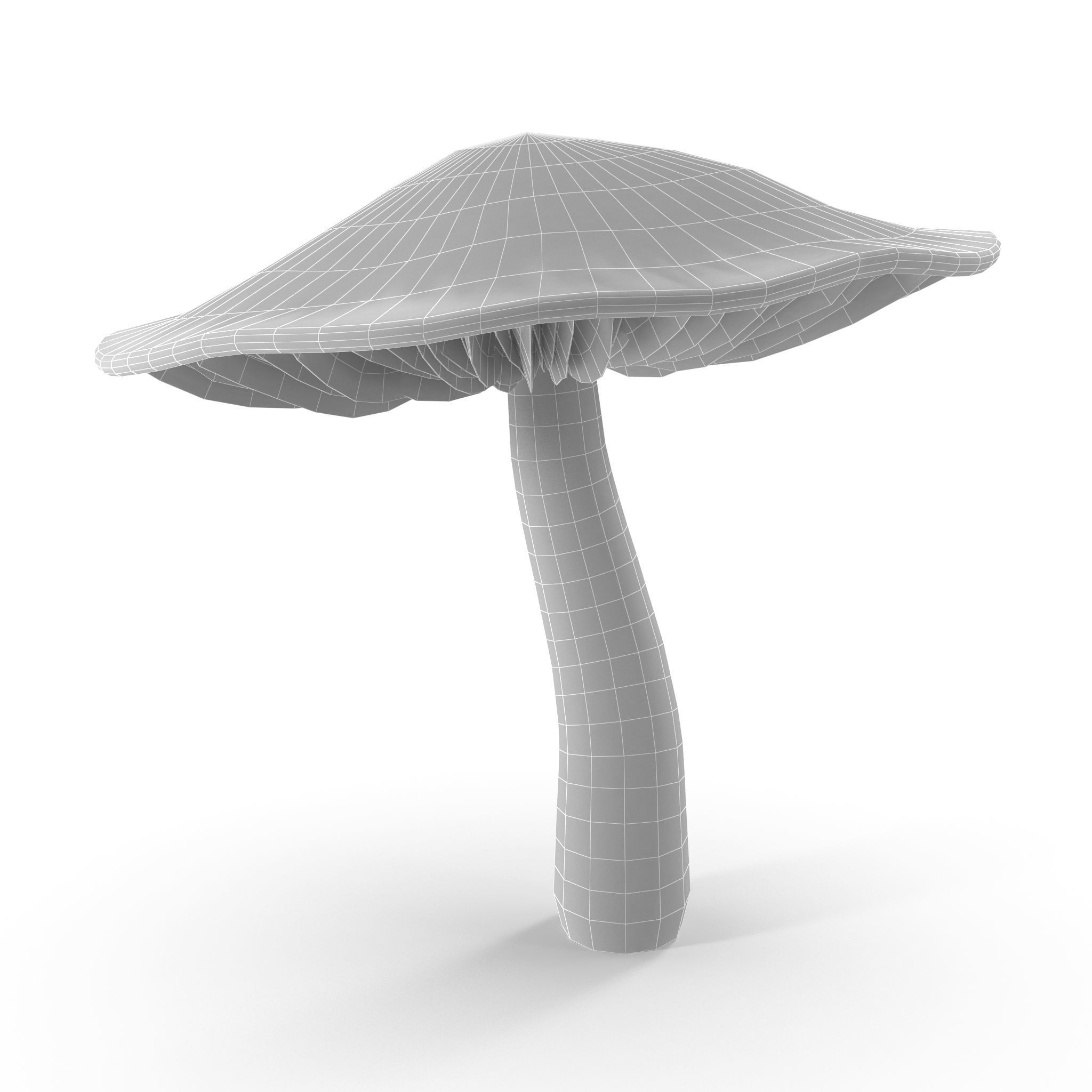 Cortinarius violaceus mid 3D model_2