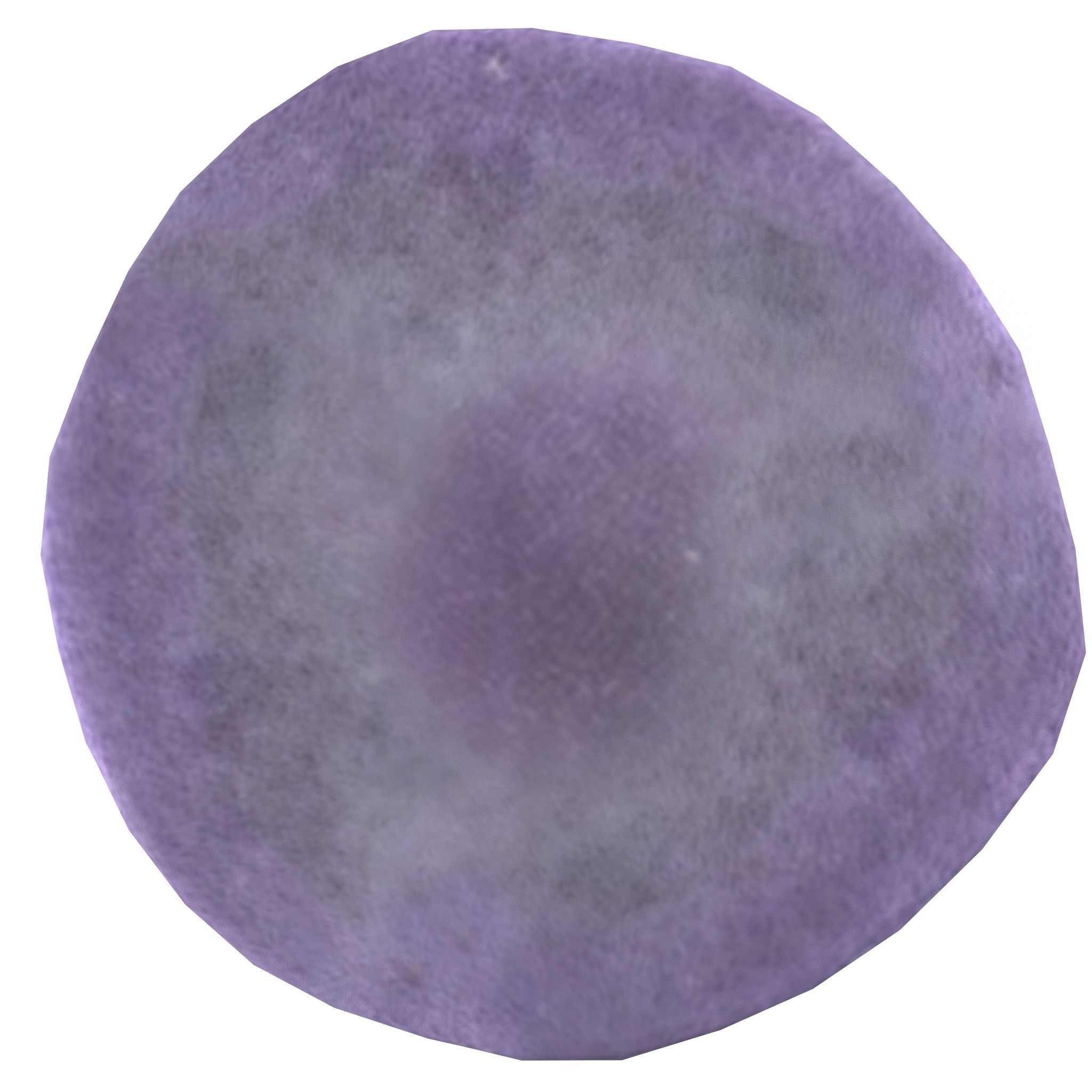 Cortinarius violaceus Old 3D model_2