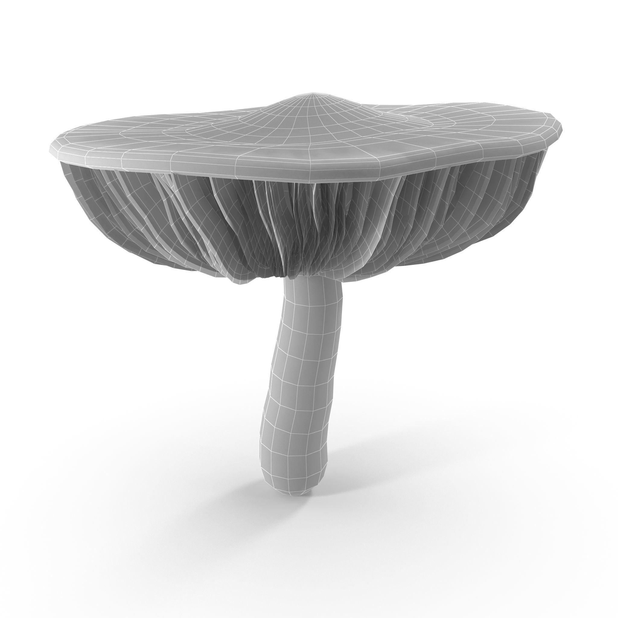 Cortinarius violaceus Old 3D model_7