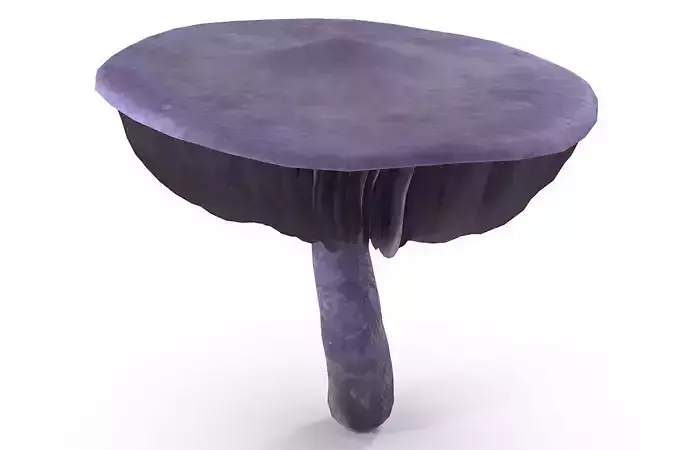 Cortinarius violaceus Old 3D model