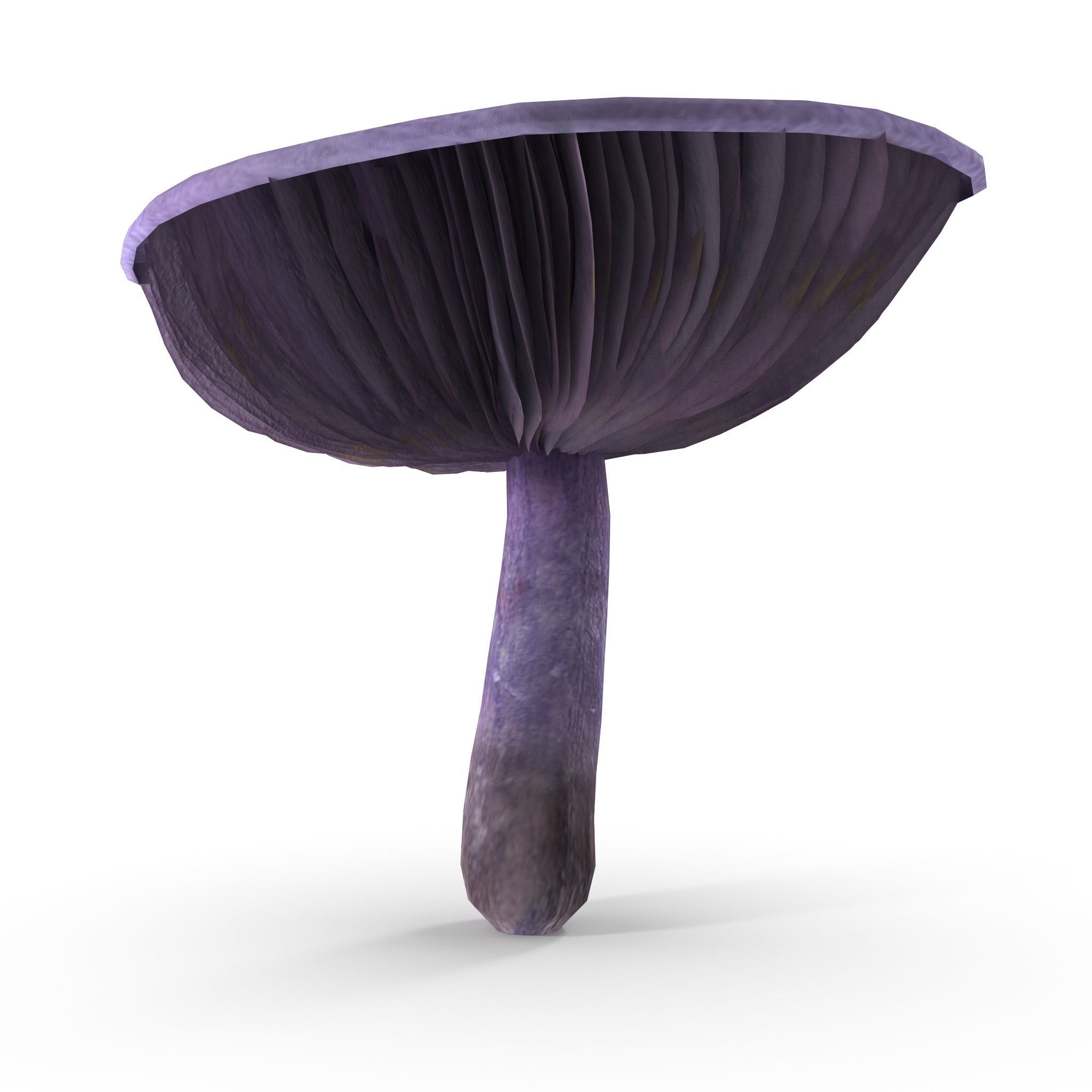 Cortinarius violaceus Old 3D model_6