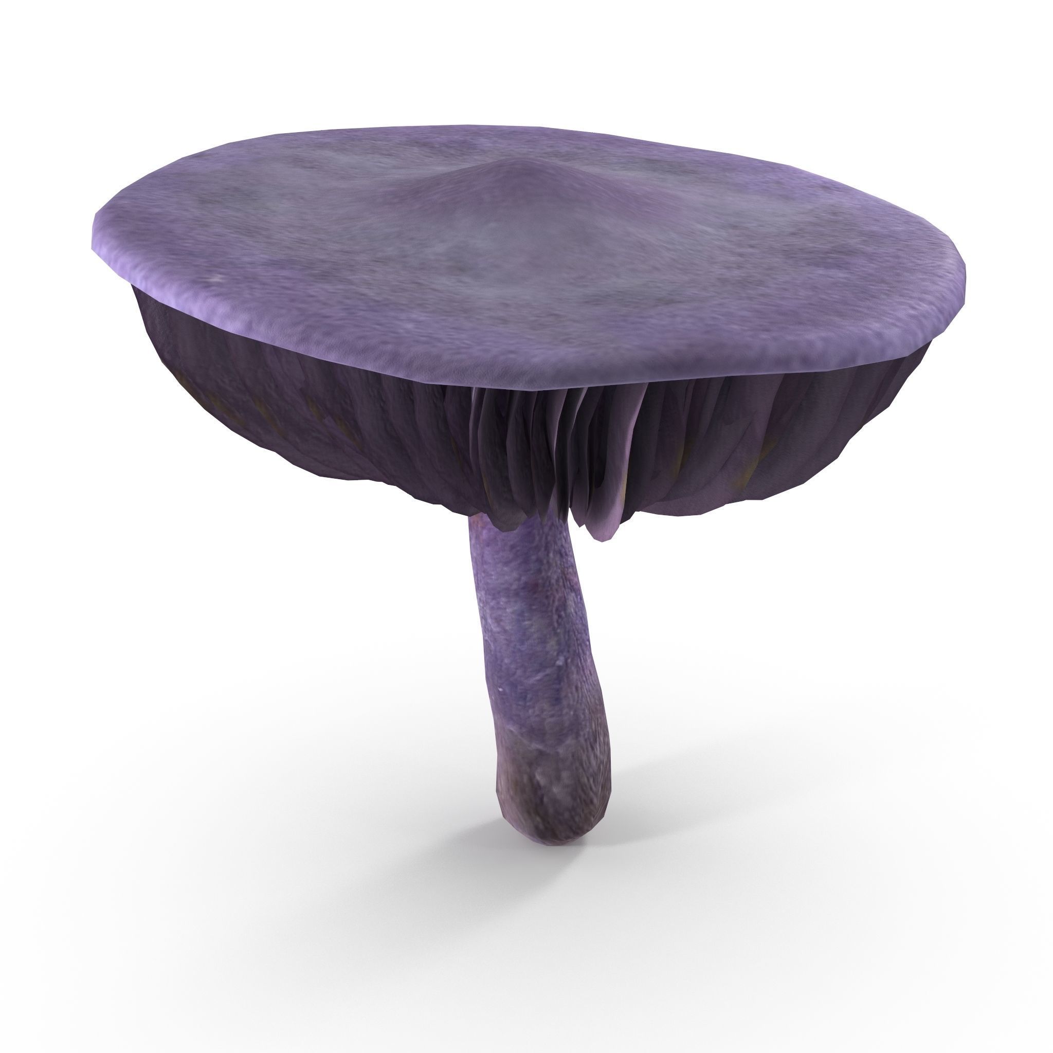 Cortinarius violaceus Old 3D model_8