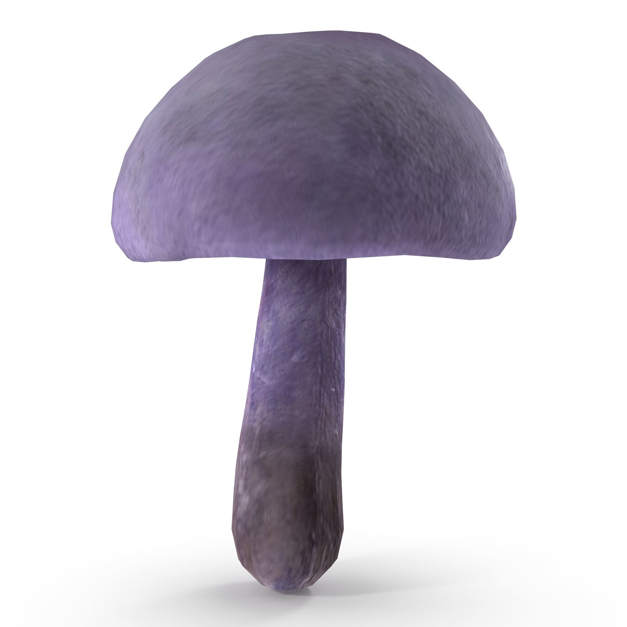Cortinarius violaceus Young 3D model_7