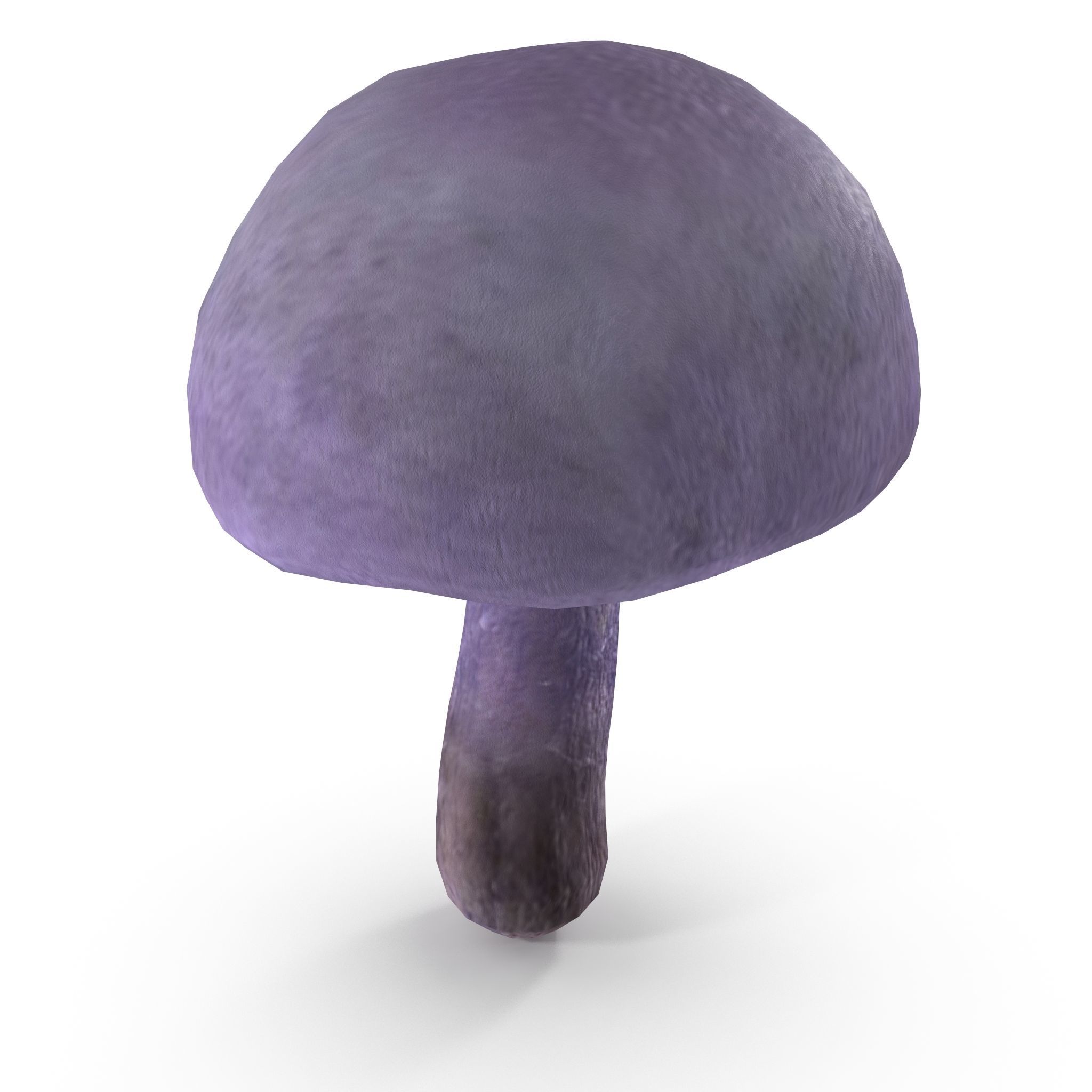 Cortinarius violaceus Young 3D model_5