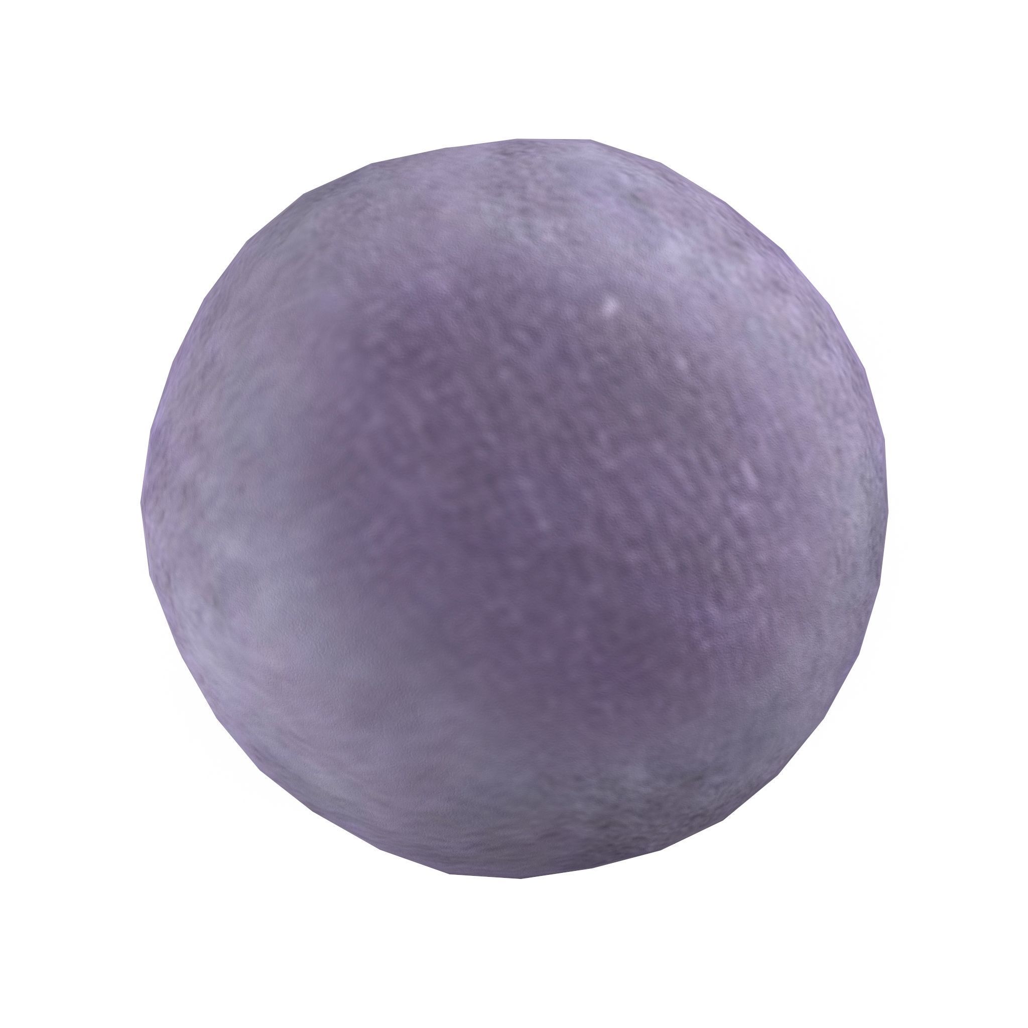 Cortinarius violaceus Young 3D model_1