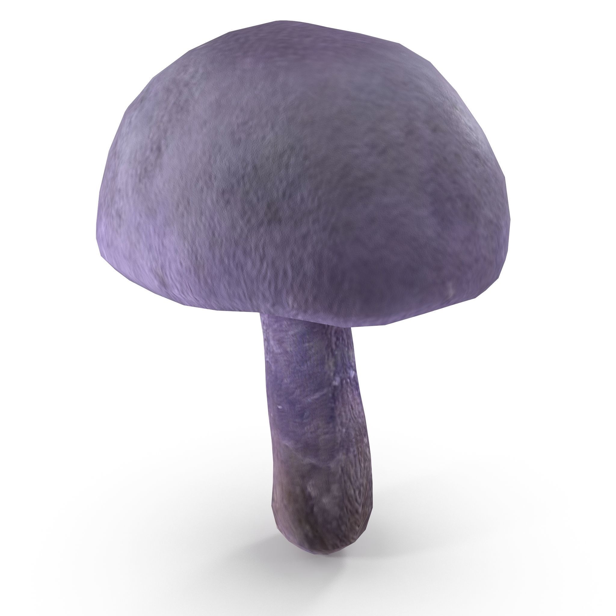 Cortinarius violaceus Young 3D model_6