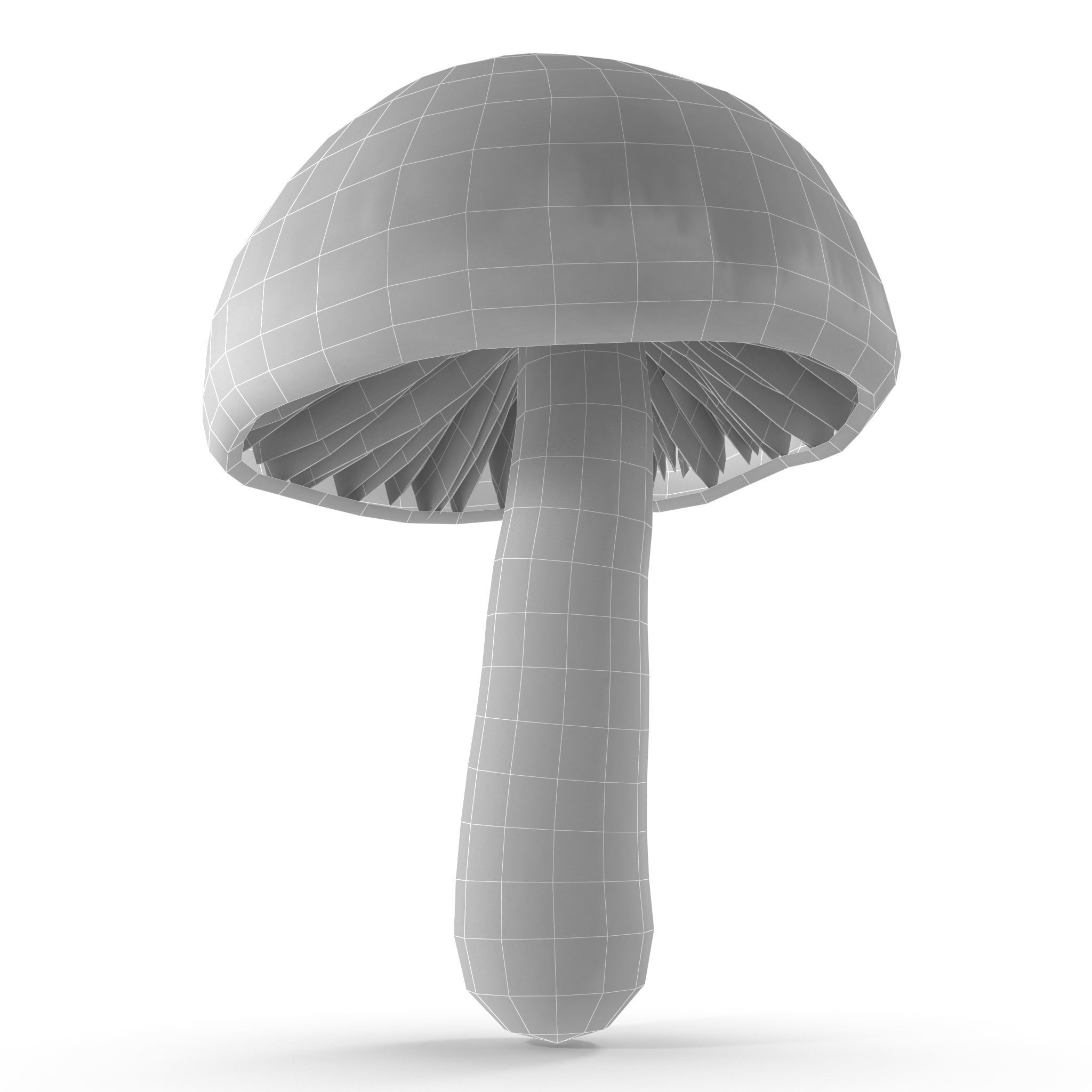 Cortinarius violaceus Young 3D model_2