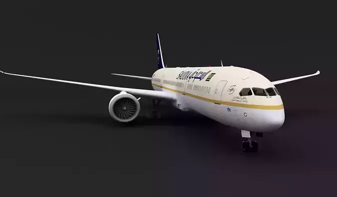 Saudi Arabian Airlines plane 