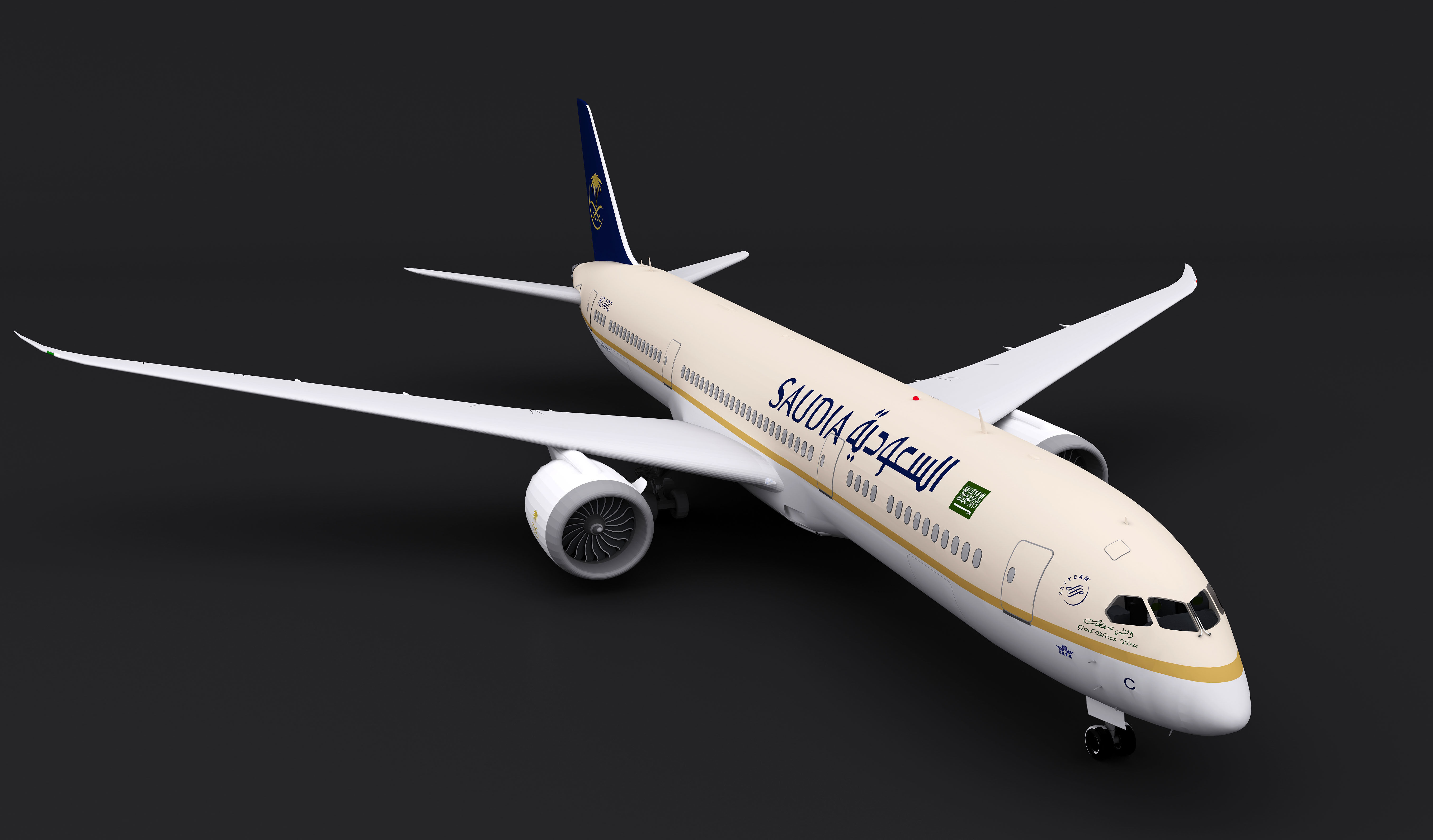 Saudi Arabian Airlines plane  3D model_8