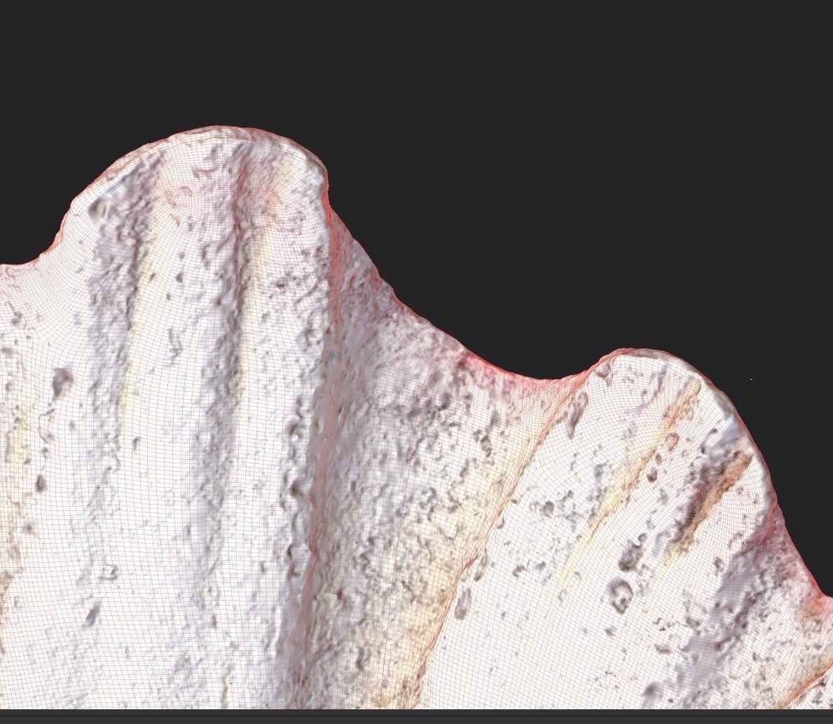 Shell Bowl Low-poly 3D model_13