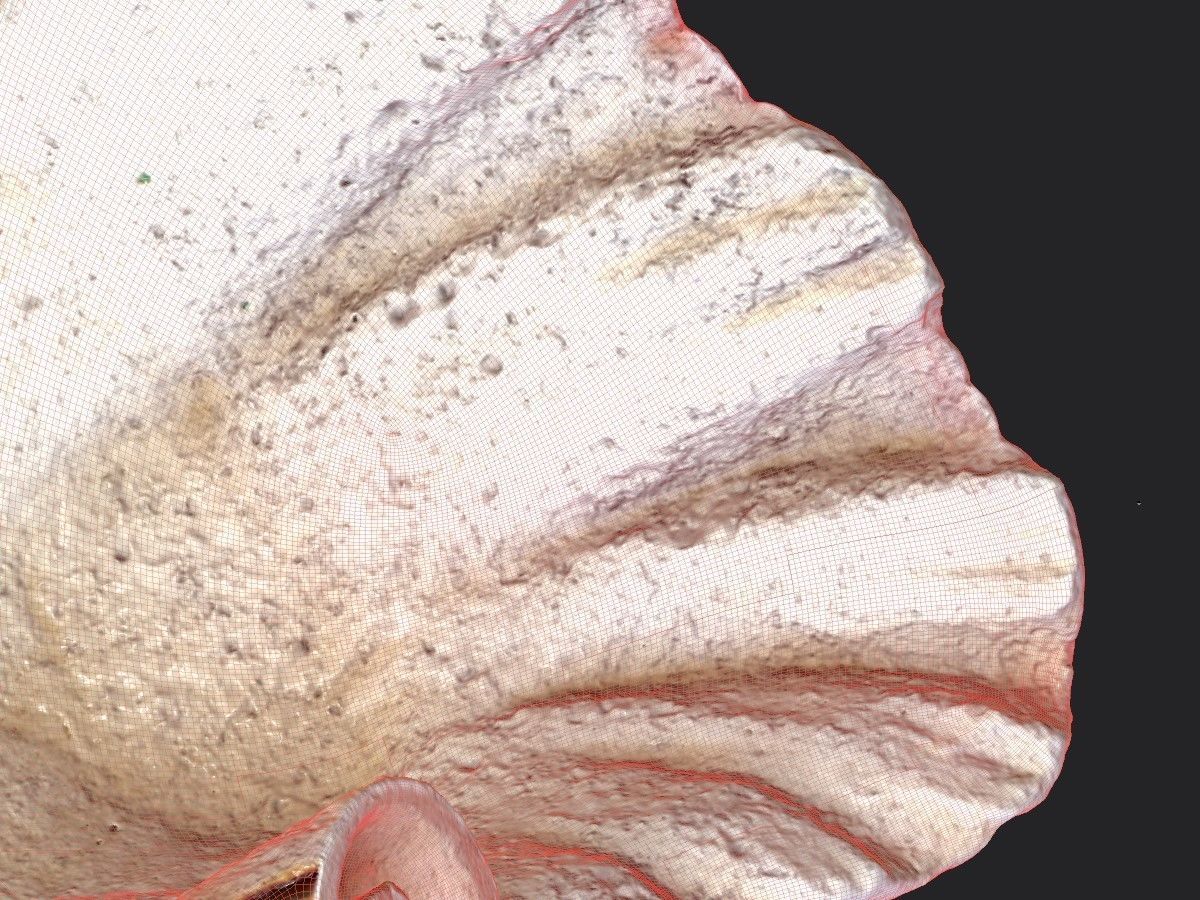 Shell Bowl Low-poly 3D model_22