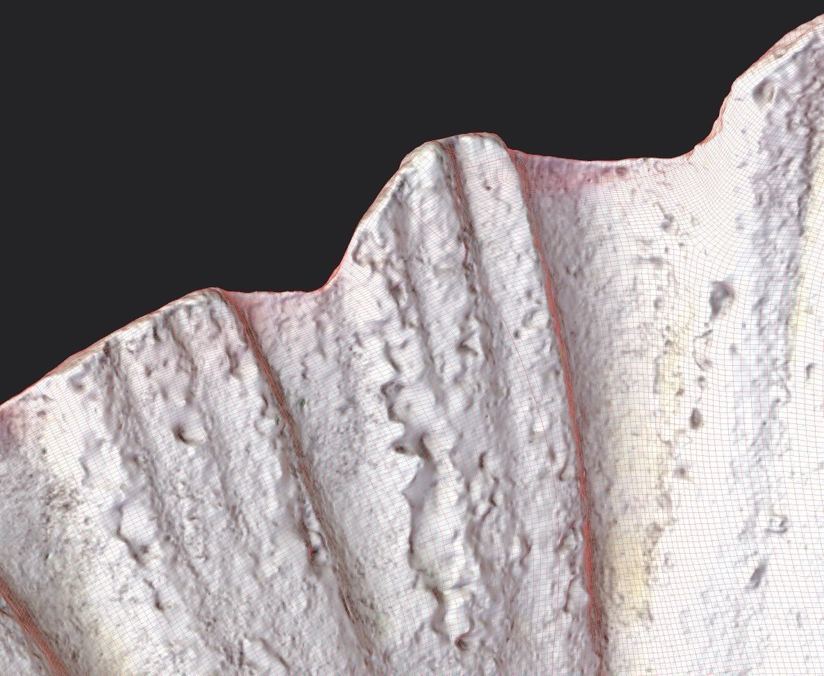 Shell Bowl Low-poly 3D model_12