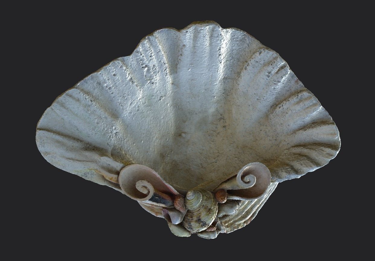 Shell Bowl Low-poly 3D model_5