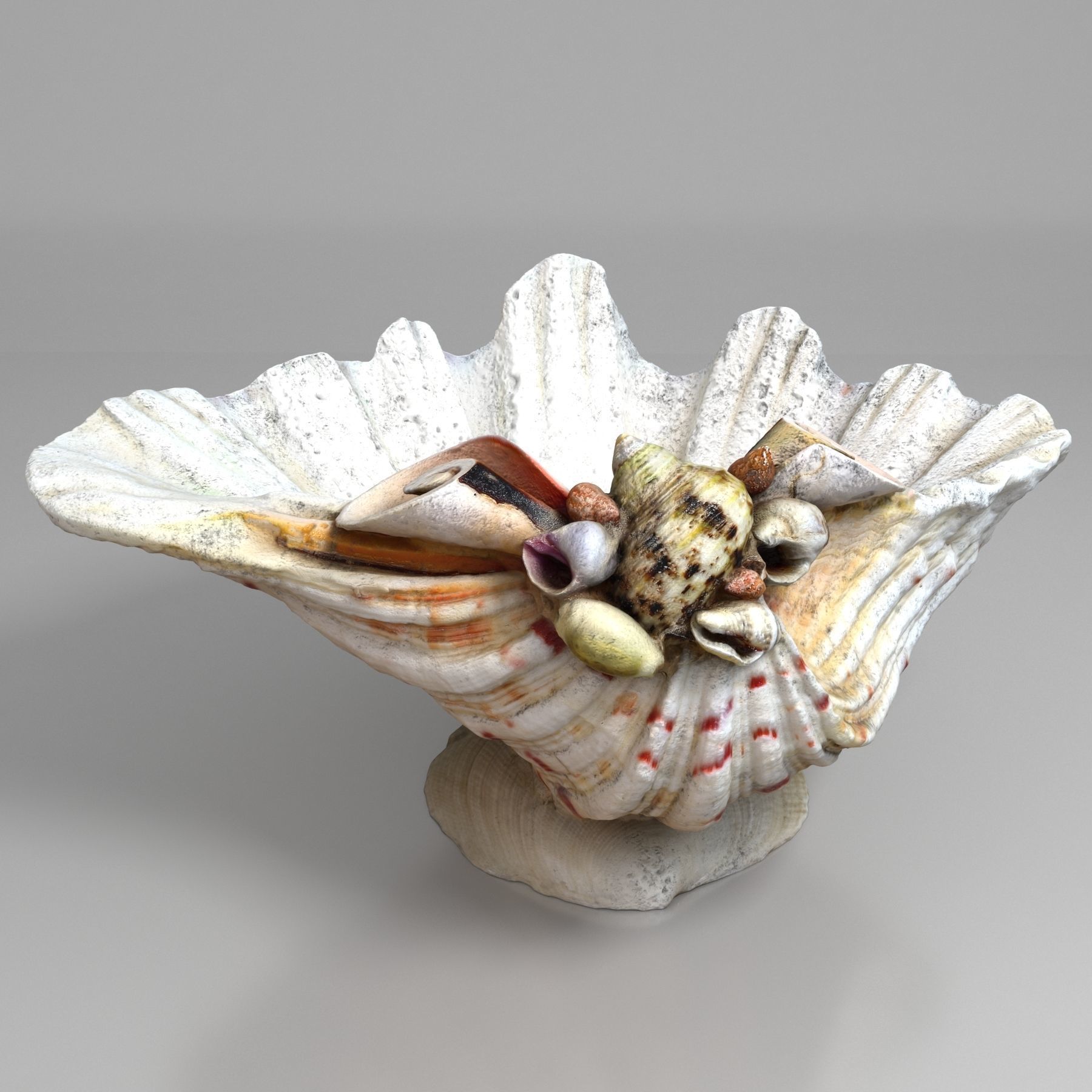 Shell Bowl Low-poly 3D model_3