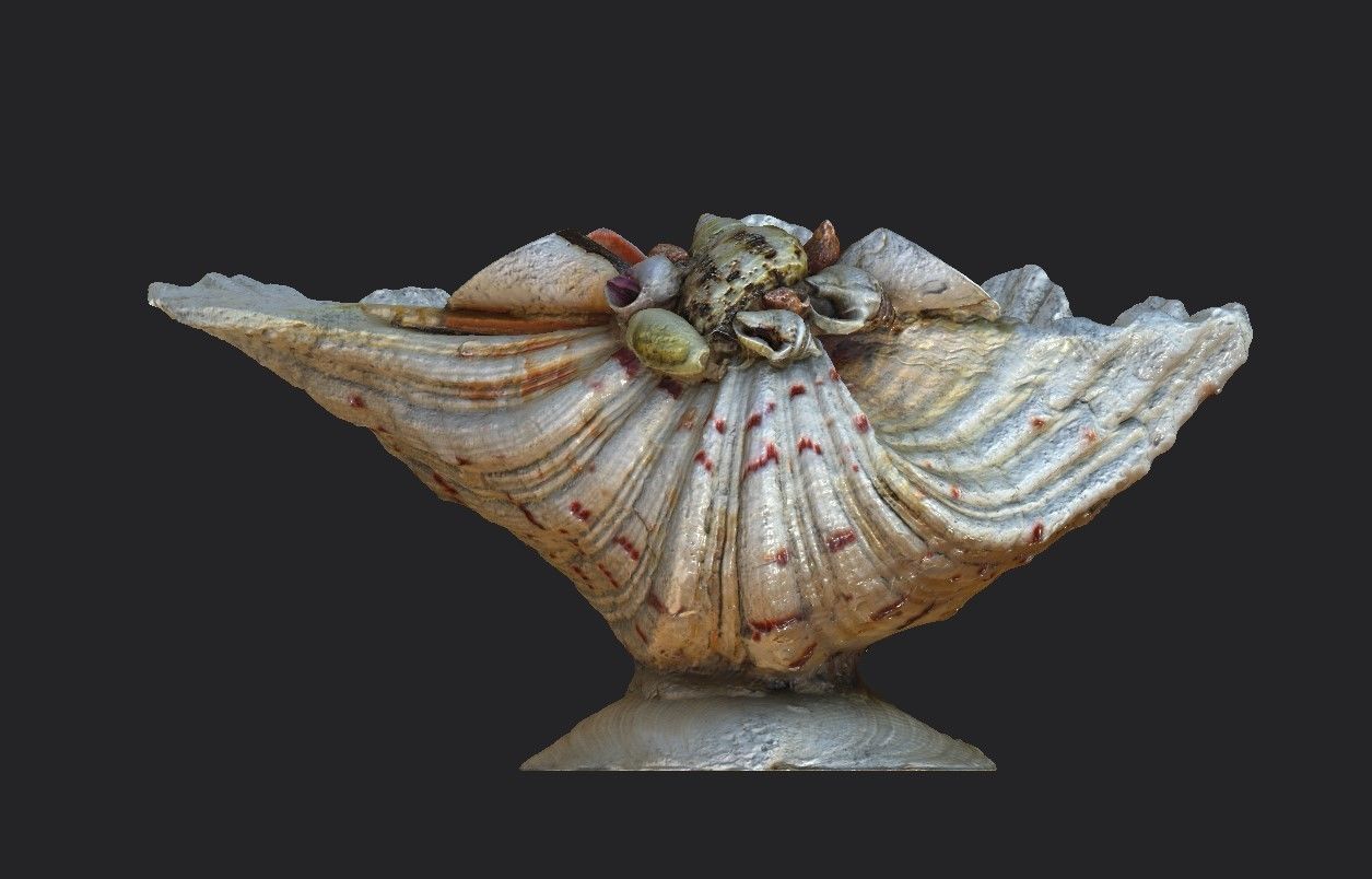 Shell Bowl Low-poly 3D model_6