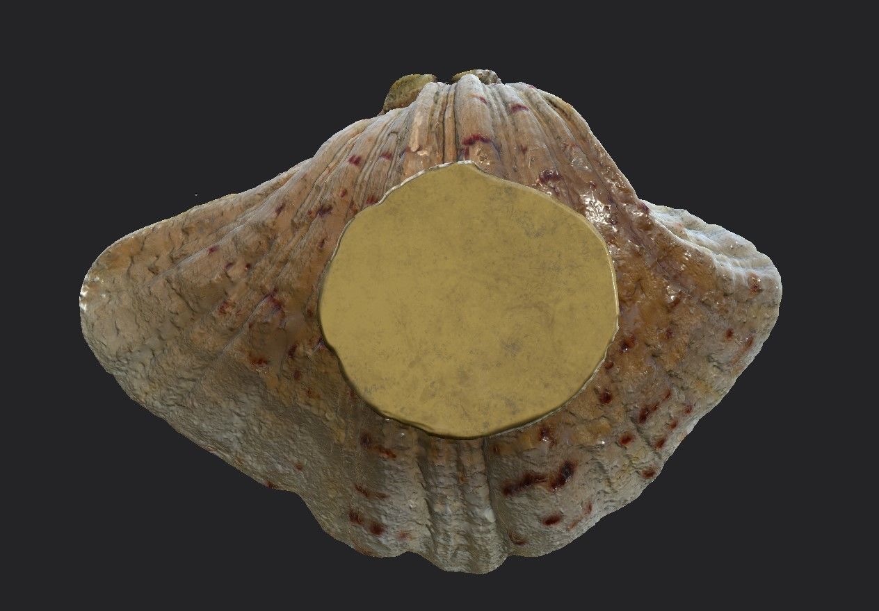 Shell Bowl Low-poly 3D model_7