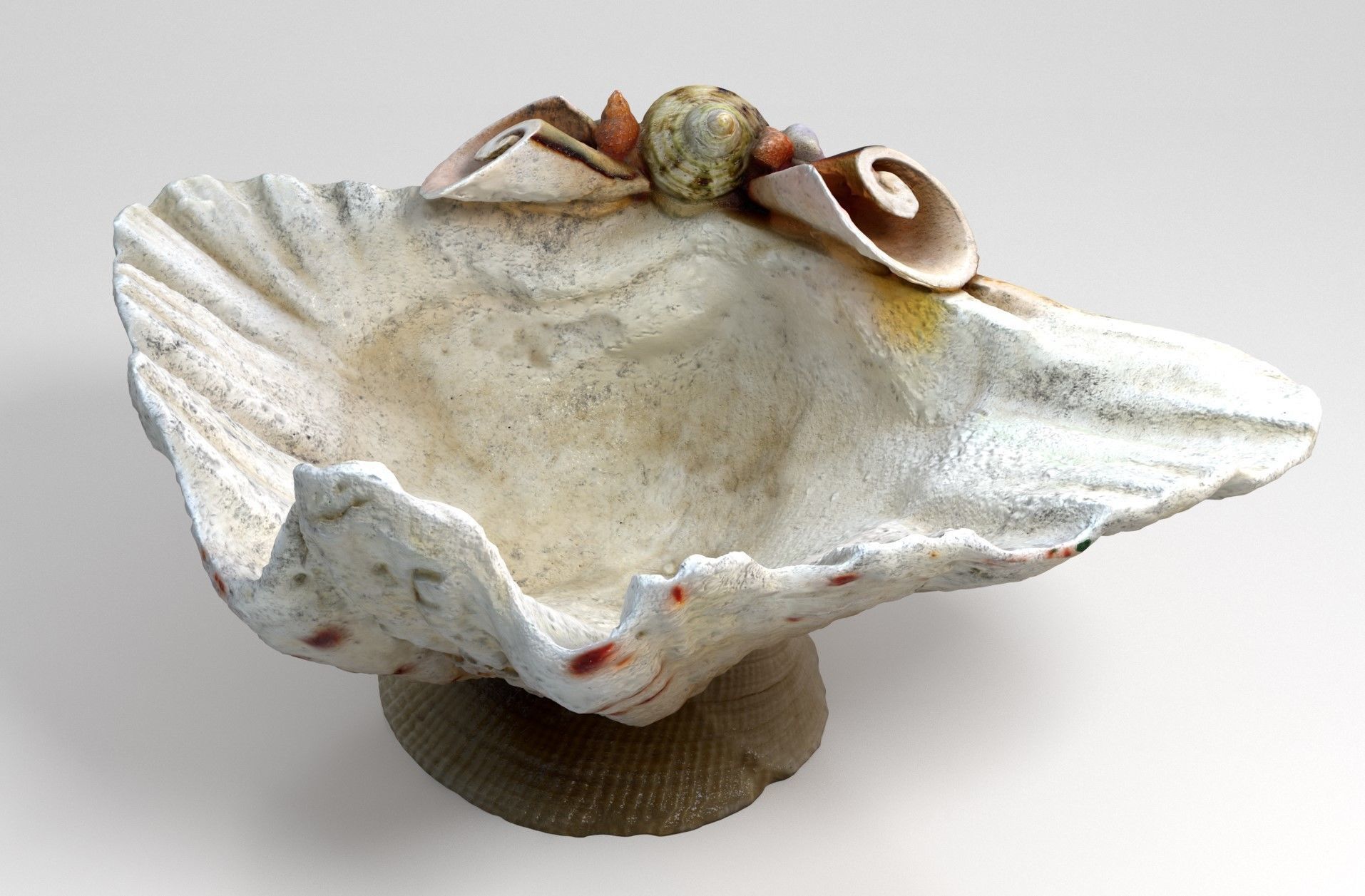 Shell Bowl Low-poly 3D model_4