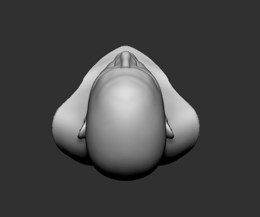 Base mesh male  head  3D print model_5