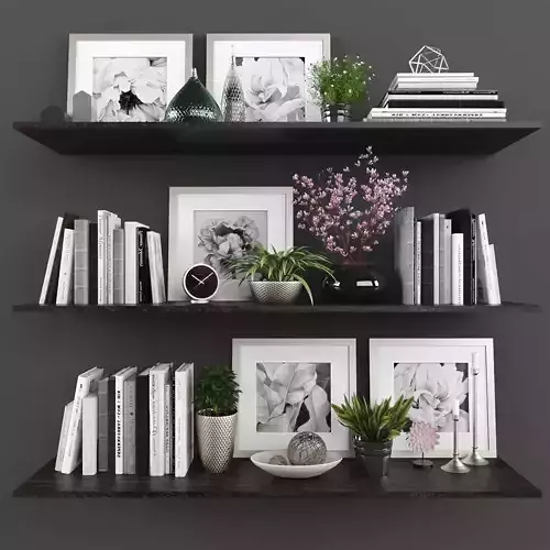 Decorative set bookshelves with plants and flowers Low-poly 3D model