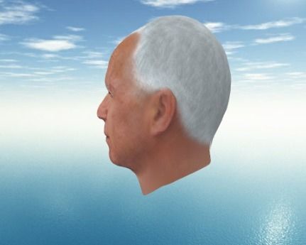 Joe Biden USA election 3d model Joe Biden 3d model Low-poly 3D model_5