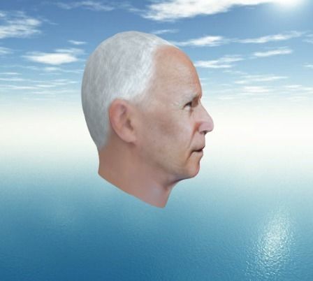 Joe Biden USA election 3d model Joe Biden 3d model Low-poly 3D model_3
