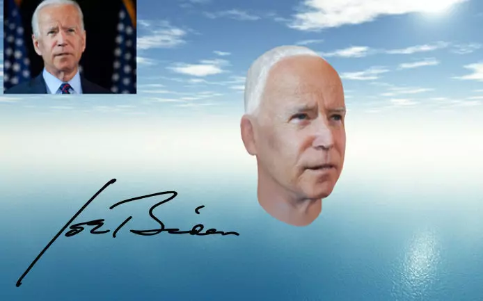 Joe Biden USA election 3d model Joe Biden 3d model Low-poly 3D model_0