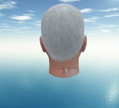 Joe Biden USA election 3d model Joe Biden 3d model Low-poly 3D model_6