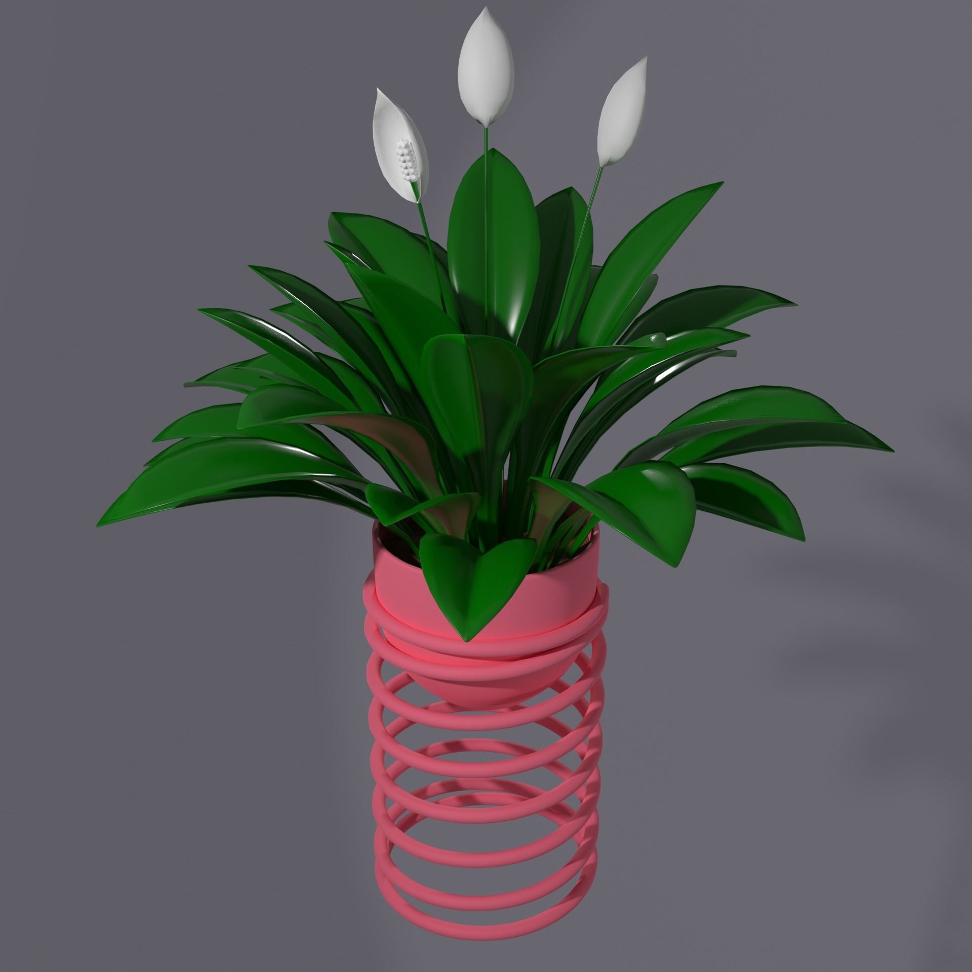 Spatifilum Flower pot with spiral holder - modern design 3D model_3