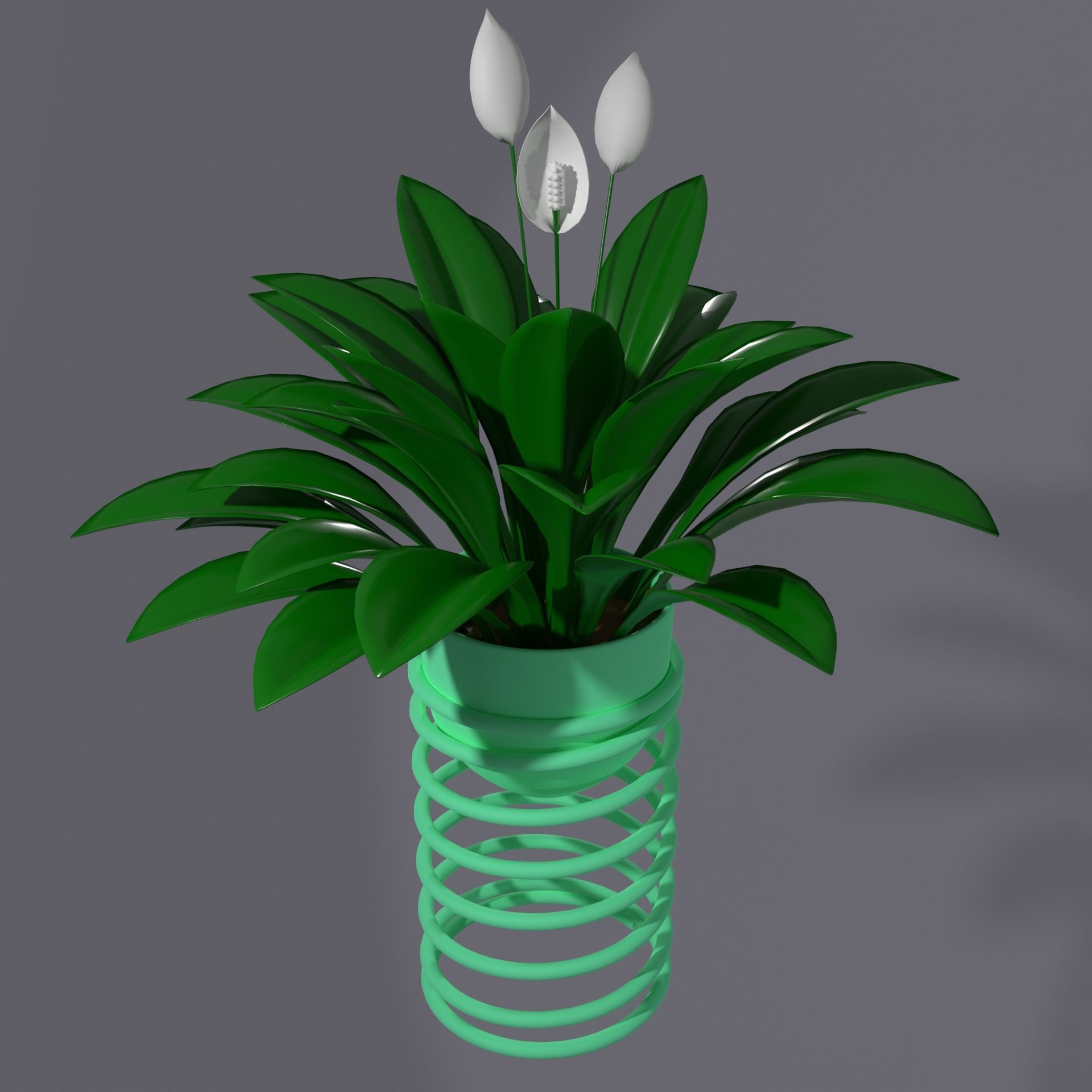 Spatifilum Flower pot with spiral holder - modern design 3D model_5
