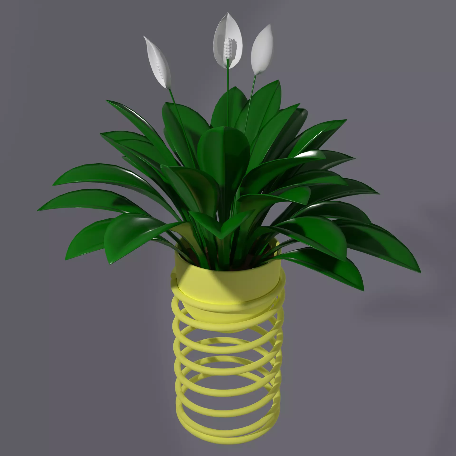 Spatifilum Flower pot with spiral holder - modern design 3D model_0