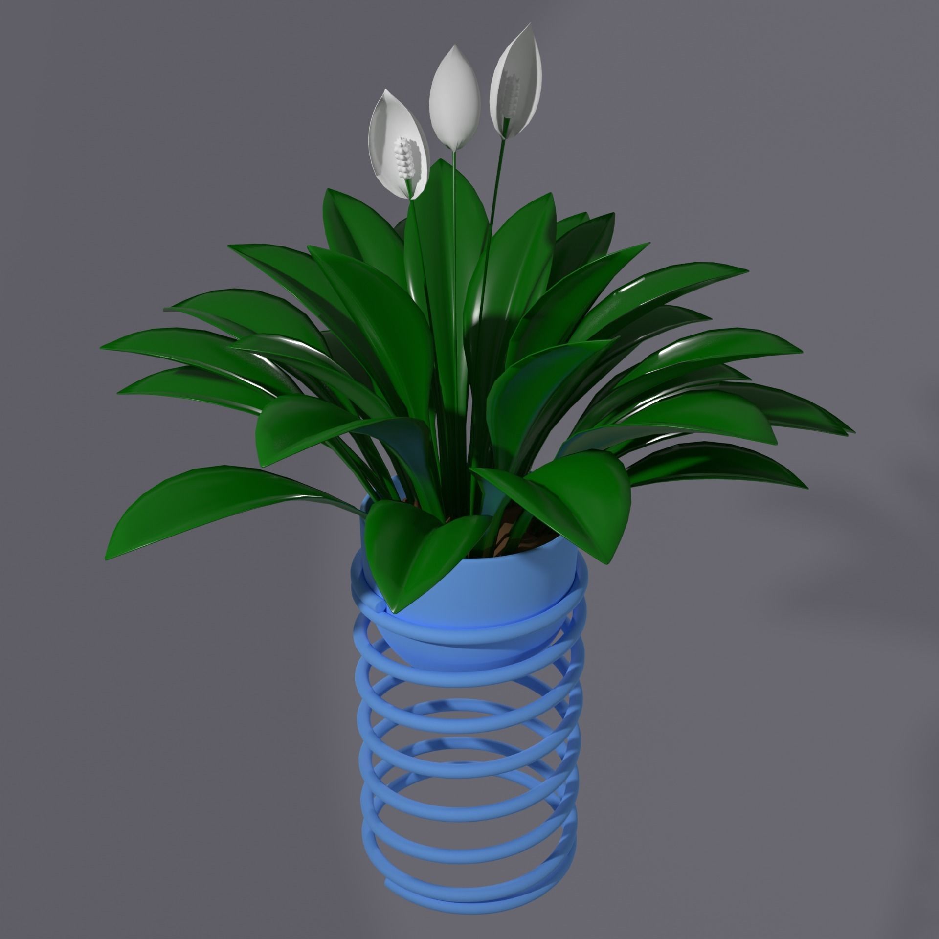 Spatifilum Flower pot with spiral holder - modern design 3D model_4