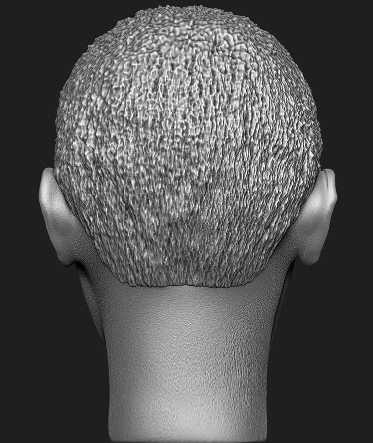 Barack Obama Head  3D print model_5