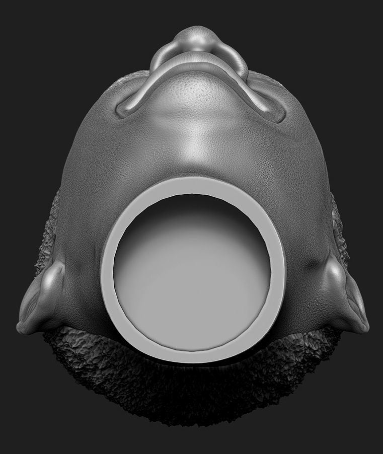 Barack Obama Head  3D print model_6