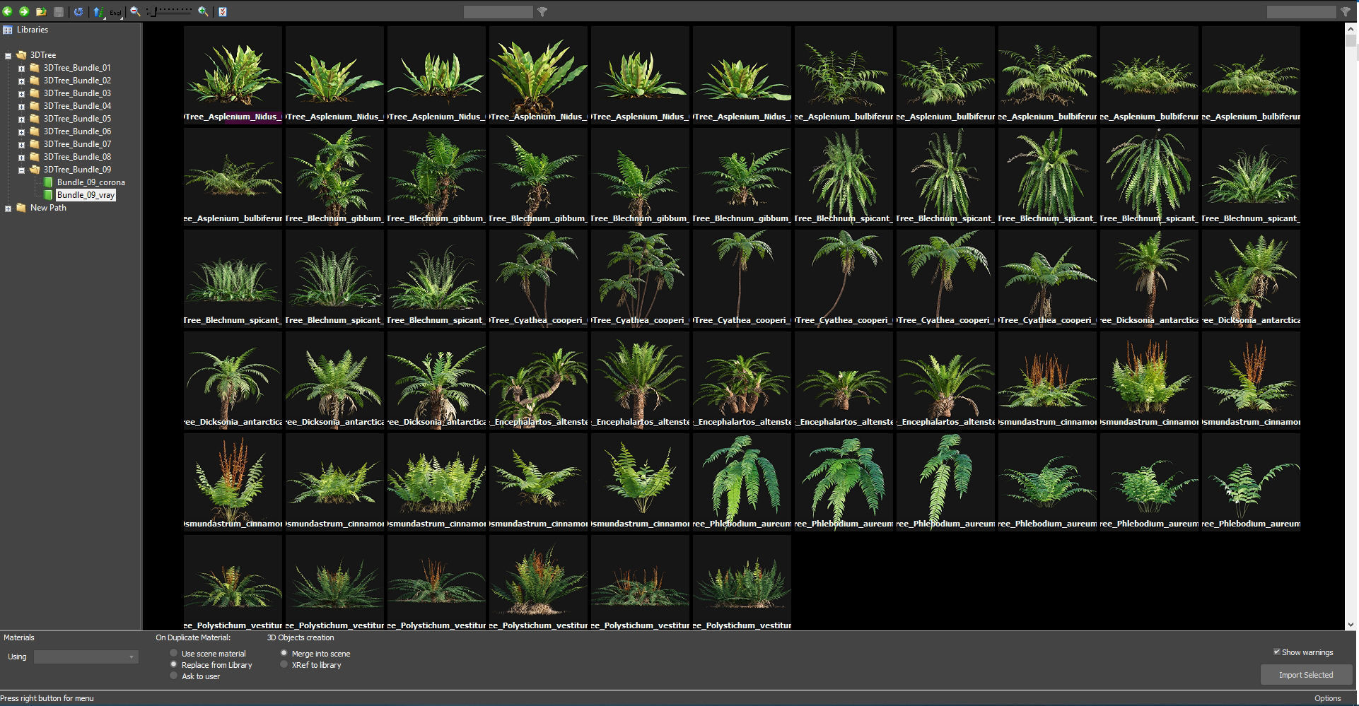 Bundle 09 - Fern garden 3D model_3