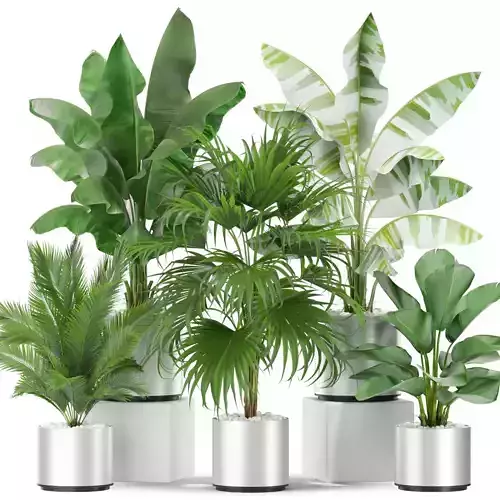 Plants collection 419