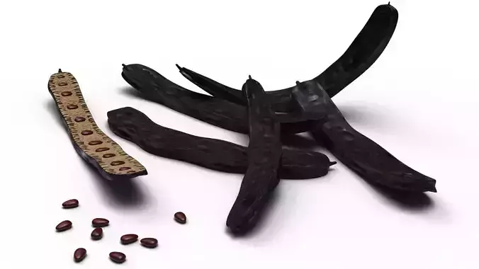 Carobs beans 3D model