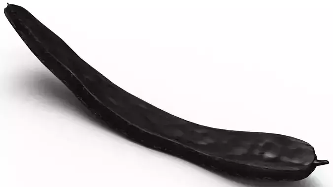 Carob - textured 3D model