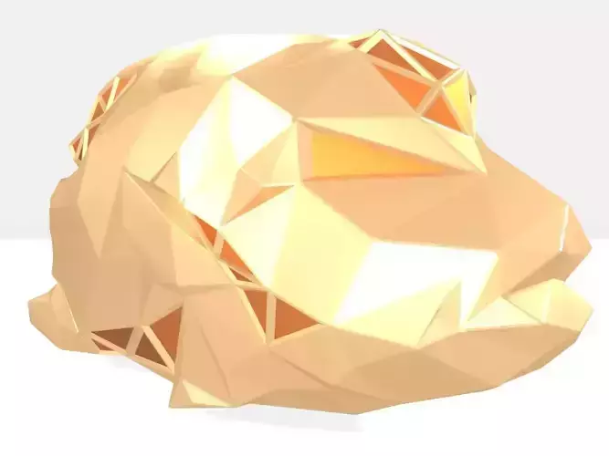 Polygonal Napoleon fish Parametric